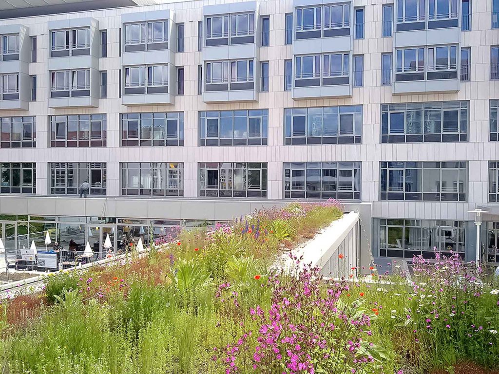 Kounovsky Landschaftsarchitektur – Klinikum Nord, Nürnberg