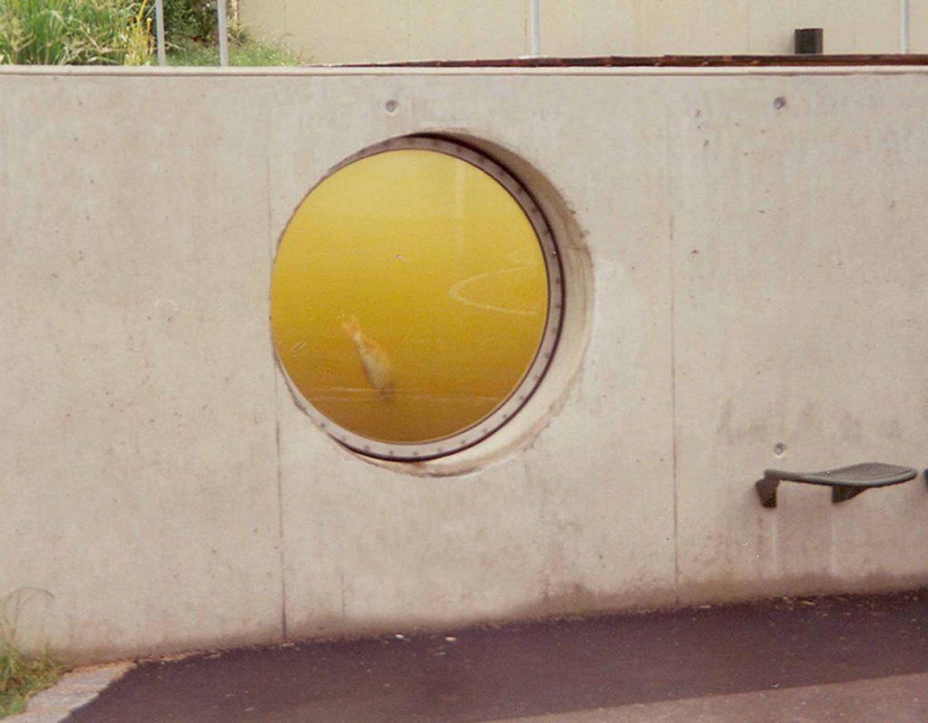 Grund- und Teilhauptschule Schönwald