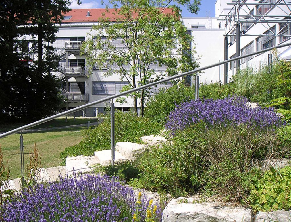 Diamed-Centrum, Clinic Neuendettelsau