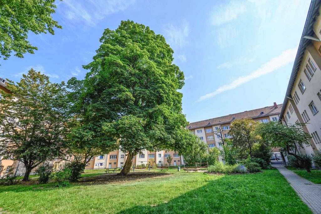 Kounovsky Landschaftsarchitektur – Innenhof Brehmstraße