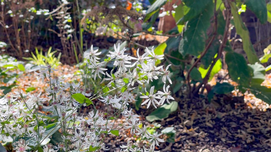 Kounovsky Landschaftsarchitektur – Pocketpark Peststadel, Nürnberg