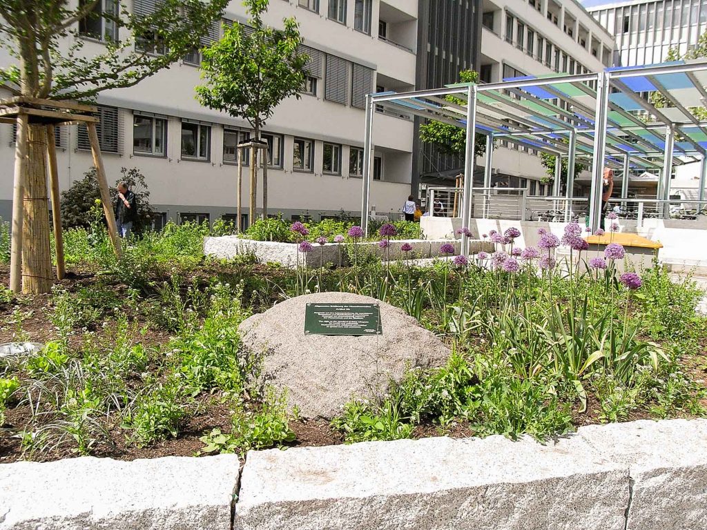 Kounovsky Landschaftsarchitektur – Klinikum Nord, Nürnberg